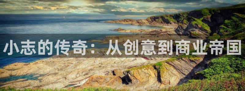 江苏pp电子智得新材料：小志的传奇：从创意到商业帝国