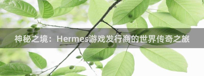 pp电子官网登录注册不了账号：神秘之境：Hermes游戏发行商的世界传奇之旅