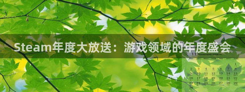 pp电子科技有限公司：Steam年度大放送：游戏领域的年度盛会