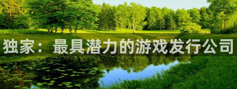 pp电子官网平台代理条件如何：独家：最具潜力的游戏发行公司