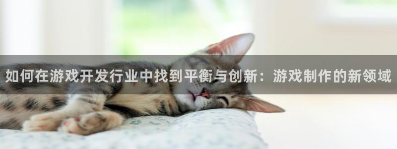 pp电子子上市了吗：如何在游戏开发行业中找到平衡与创新：游戏制作的新领域