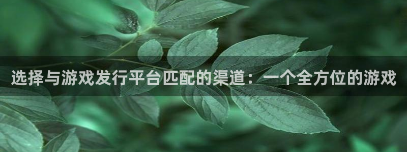 pp电子子公司怎么样
