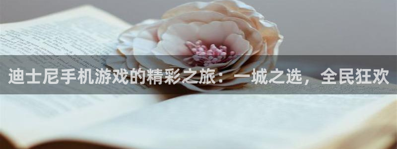 佛山pp电子电子商务