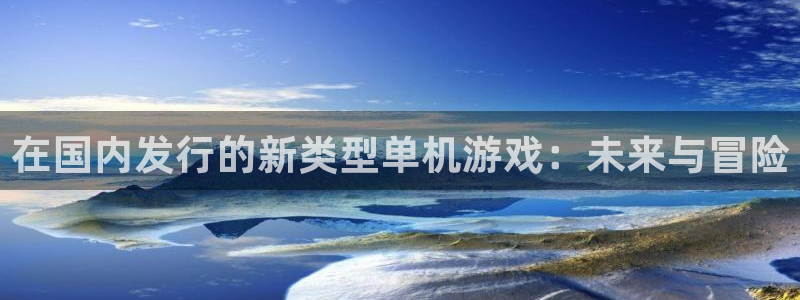 pp电子官网登录注册账号密码：在国内发行的新类型单机游戏：未来与冒险
