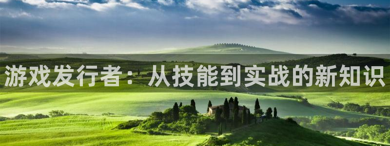 广东pp电子营销策划有限公司：游戏发行者：从技能到实战的新知识