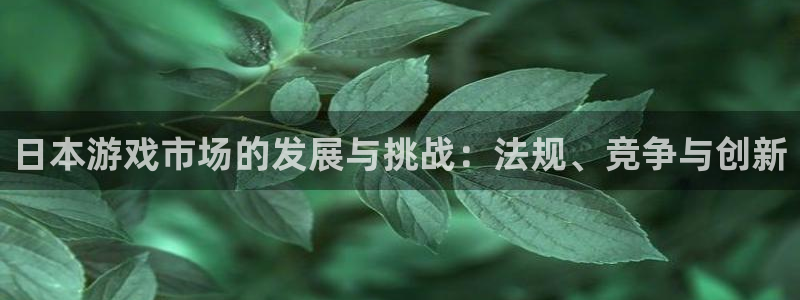 pp电子官网登录注册账号失败怎么办：日本游戏市场的发展与挑战：法规、竞争与创新