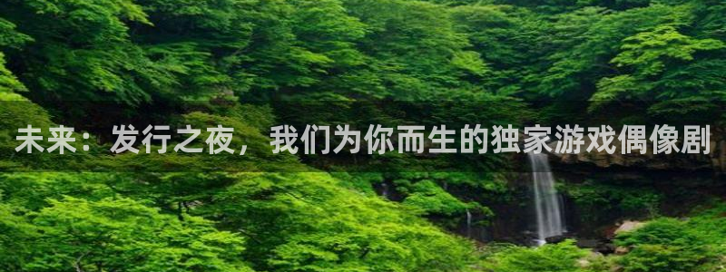 pp电子服装品牌