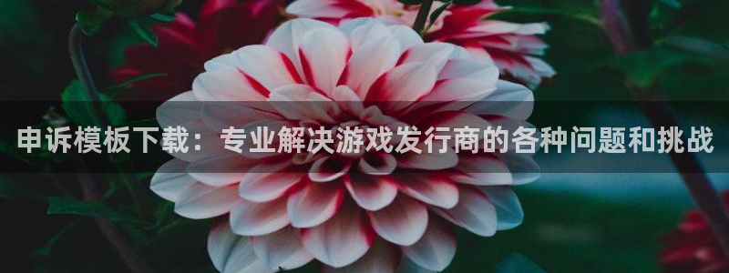 pp电子娱乐测速官网：申诉模板下载：专业解决游戏发行商的各种问题和挑战