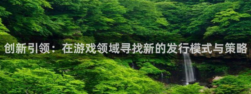pp电子电子商务怎么样