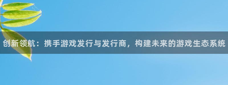 东莞pp电子信息科技有限公司