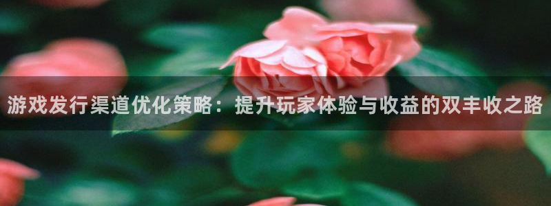 pp电子是什么