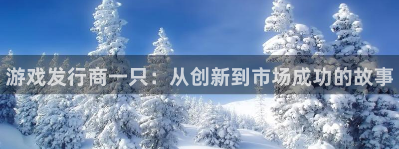 pp电子官网怎么注册账号：游戏发行商一只：从创新到市场成功的故事