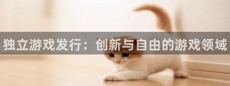 pp电子涂料怎么样：独立游戏发行：创新与自由的游戏领域