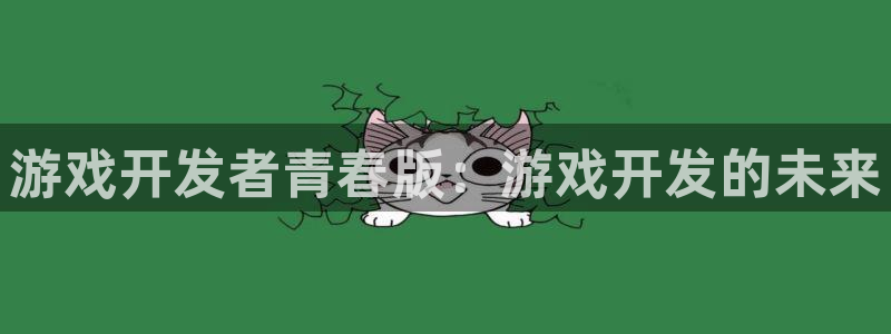 pp电子集团是什么企业