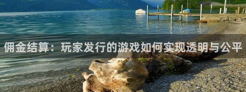 pp电子官网是境外的吗：佣金结算：玩家发行的游戏如何实现透明与公平