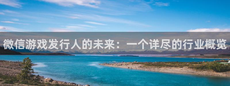 四川pp电子科技有限公司怎么样：微信游戏发行人的未来：一个详尽的行业概览