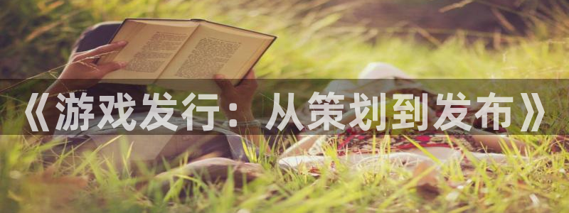 pp电子官网注册方法有哪些呢：《游戏发行：从策划到发布》