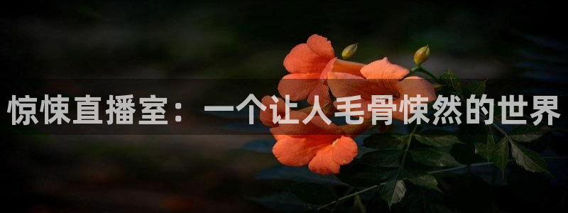 绿茵直播足球直播网：惊悚直播室：一个让人毛骨悚然的世界