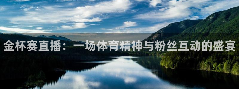 足球之绿茵球王：金杯赛直播：一场体育精神与粉丝互动的盛宴