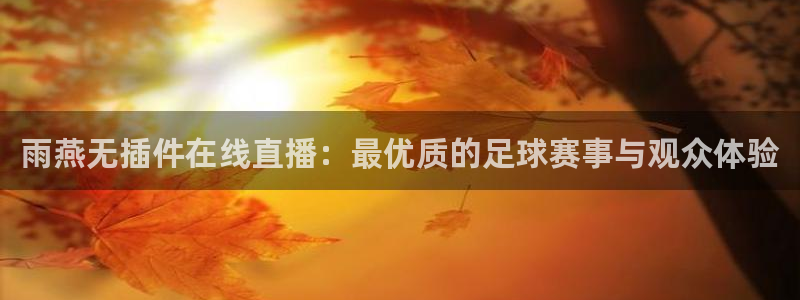 足球直播绿茵体育：雨燕无插件在线直播：最优质的足球赛事与观众体验