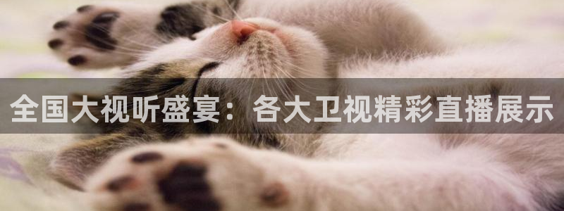 绿茵直播体育在线观看免费高清：全国大视听盛宴：各大卫视精彩直播展示