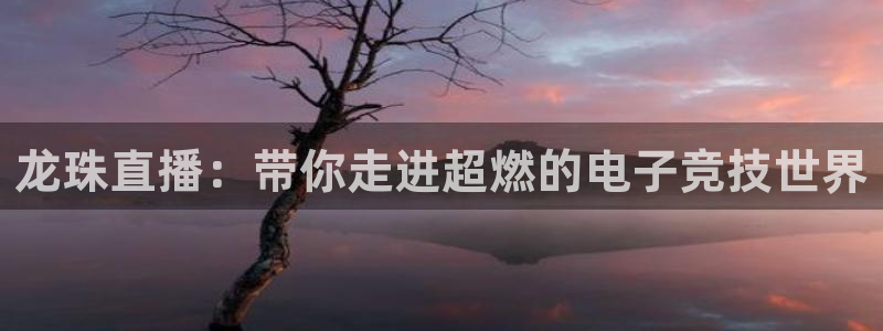绿茵足球：龙珠直播：带你走进超燃的电子竞技世界