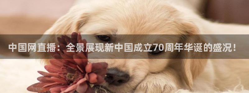 绿茵体育比赛直播：中国网直播：全景展现新中国成立70周年华诞的盛况！