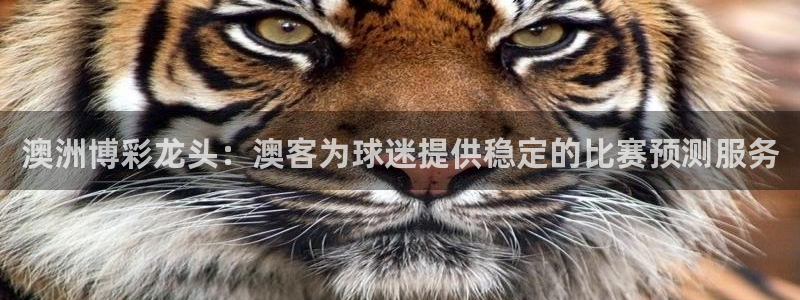 绿茵直播体育在线观看免费：澳洲博彩龙头：澳客为球迷提供稳定的比赛预测服务