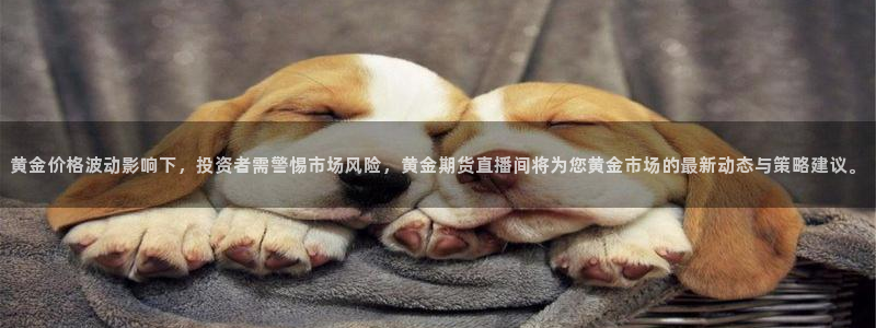 绿茵nba直播：黄金价格波动影响下，投资者需警惕市场风险，黄金期货直播间将为您黄金市场的最新动态与策略建议。