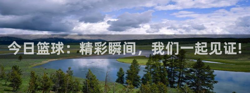 绿茵直播体育在线观看免费视频：今日篮球：精彩瞬间，我们一起见证!