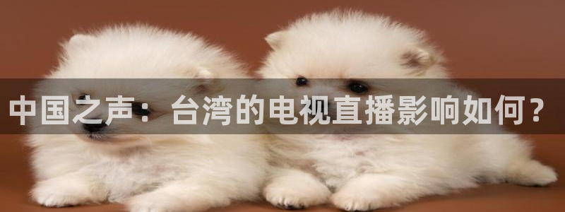 绿茵直播cba：中国之声：台湾的电视直播影响如何？