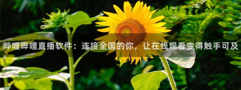 绿茵直播cba：哔哩哔哩直播软件：连接全国的你，让在线观看变得触手可及
